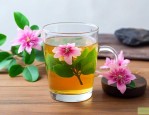 三七花泡水喝有什么用