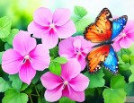 蝴蝶花怎么养家庭养法