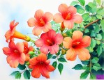 凌霄花用什么农药清除