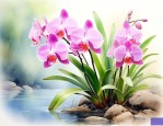 兰花适合养在什么地方