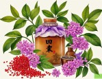 2025年田七花可以泡酒吗