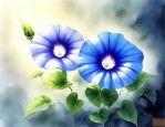 牵牛花早上开放晚上闭合说明生物具有特征