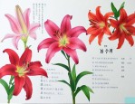 百合固金汤的功能主治