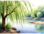 柳树的种子是怎么传播的巽风