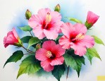 芙蓉花象征着什么意思