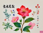 2025年花辨的拼音和组词