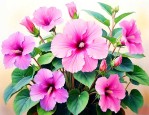 大岩桐花又叫芙蓉花吗