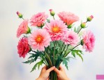 送给妈妈的花叫什么花