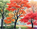 2025年枫叶和鸡爪槭区别