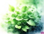 绿色植物进行光合作用产生了什么物质