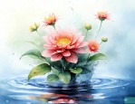 在水中养的花