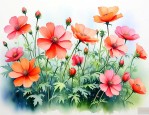 7月份适合种植的花卉