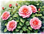 2025年爬藤季开花月季花