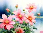 哪些花是什么时间开的