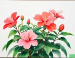一帆风顺花一年开几次花