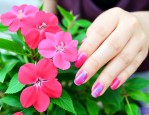 凤仙花染指甲怎么去除