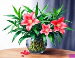 怎样才能把富贵竹养好