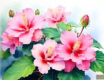 芙蓉花是莲花的一种吗