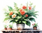 植物花卉怎么养殖
