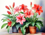 适合室内养花期长的花