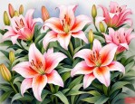 2025年百合花的外貌特点