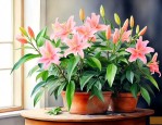 室内养什么香味花最好
