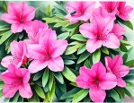 杜鹃花为什么会有虫子