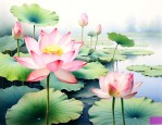 荷花代表什么品质的人