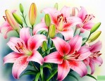 百合花我在文中的作用