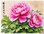 2025年牡丹花的样子特点