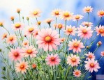满天星的花语代表什么