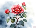 月季花冬季的养殖方法和注意事项有哪些