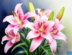 怎样让百合花长得粗壮