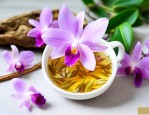 石斛花泡水有什么作用