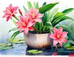 家里适合养的水生花卉