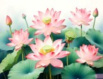 荷花莲蓬的寓意是什么