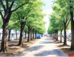 十五公分的榉树市场价