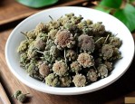 正品三七花多少钱一斤