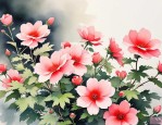 2025年哪些花开花的时间