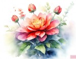 六月份什么花开的最好