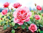 月季花种子什么时间种