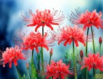 彼岸花有几种颜色花语