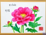 荤牛花的作文300字