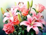 玫瑰花和百合花怎么养