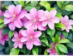 三七花对失眠有帮助吗