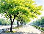 2025年南京哪里梧桐树多
