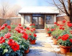 北方能过冬的庭院花卉