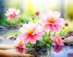 春天还有哪些花会开放