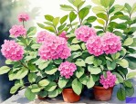 2025年叶子花的繁殖方法