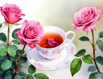 什么人不适合玫瑰花茶